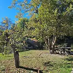 Alba