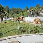 Alba
