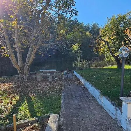Alba *