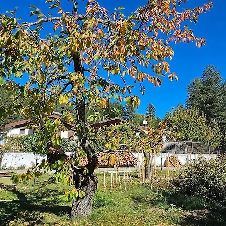 Villa Alba