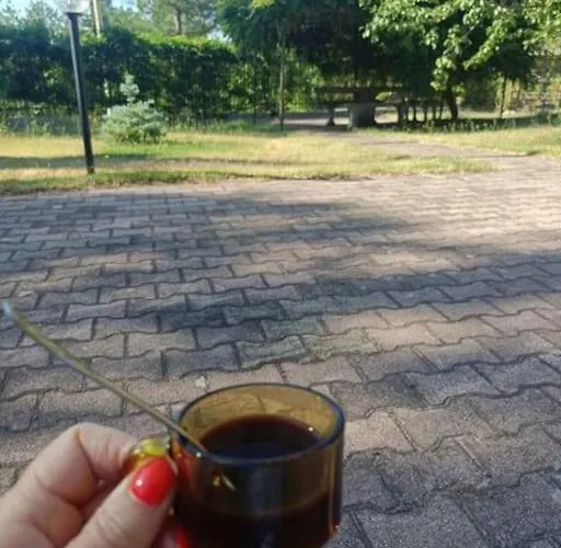 Alba San Giovanni in Fiore