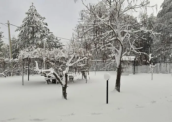 Alba * San Giovanni in Fiore